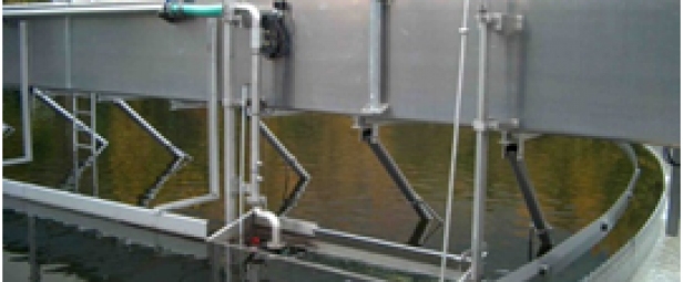 …in Circular Settling Tanks